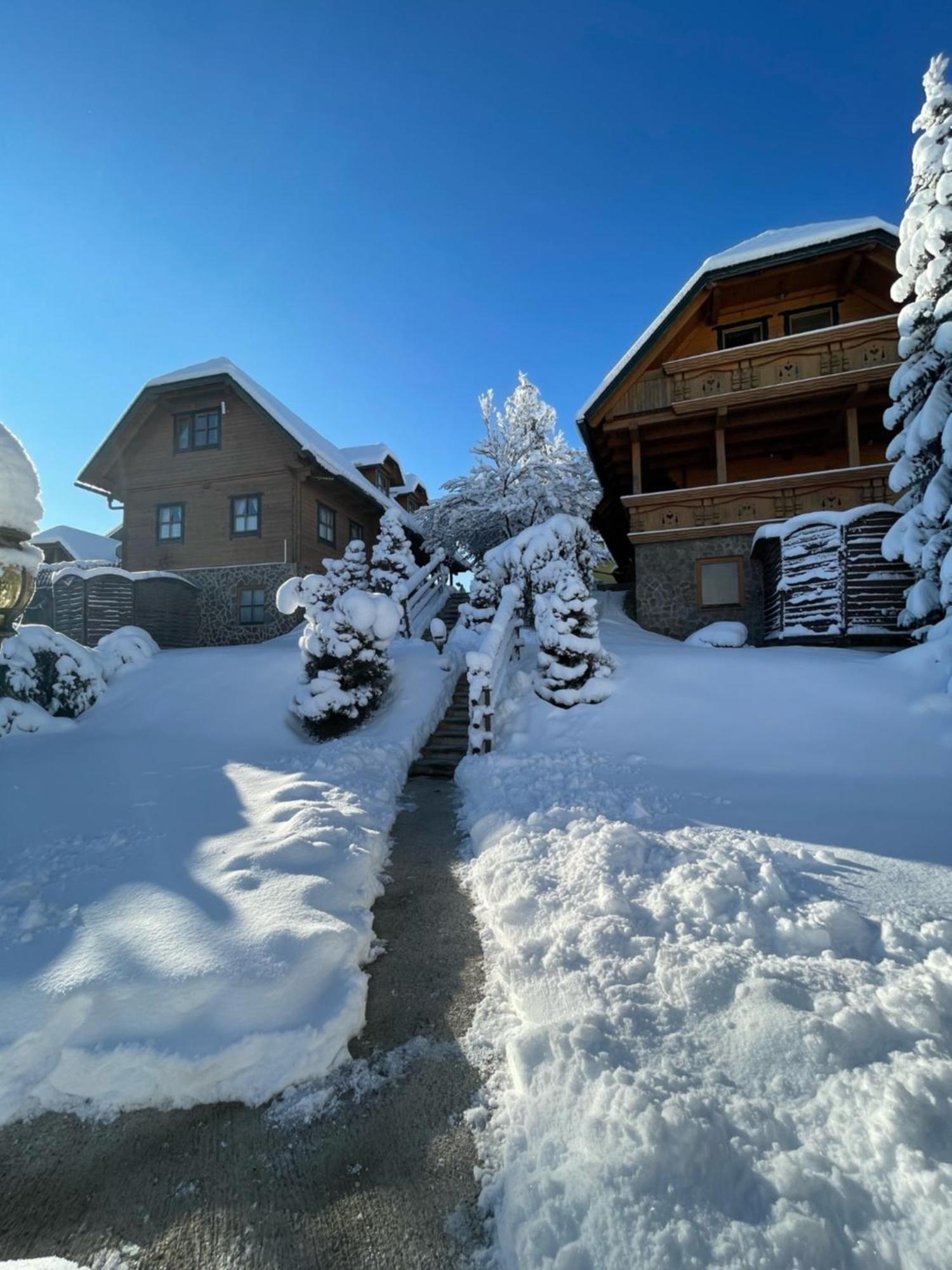 Korosec Apartments And Wellness Centre Мозирє Екстер'єр фото